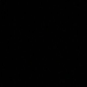 Meet your Posher, Cody